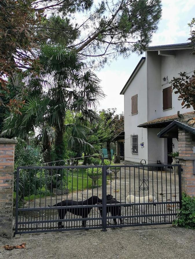 La Casa Di Gim Apartment Lugo  Exterior photo